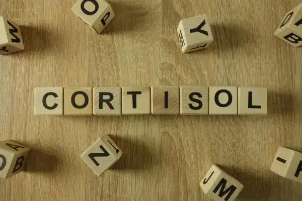 The Hidden Connection: How Stress Shapes Your Fitness and Body Composition 2 Image saying "Cortisol" and how stress Coventry impacts your wellbeing and bodies shape